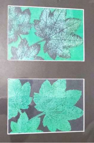 Who we Are Who we Are