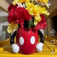 Mickey Arrangement