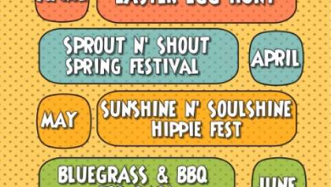 Soulshine N' Sunshine Hippie Fest