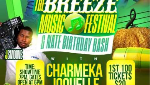 The Breeze Music Festival