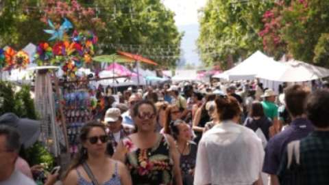 Mountain View Art & Wine Festival