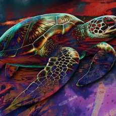 "The Guilded Soveriegn "