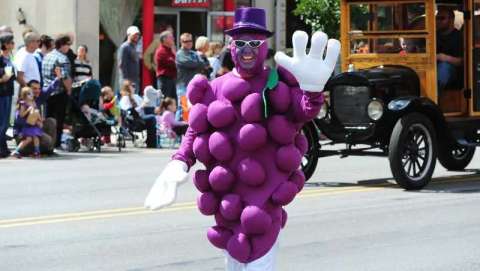 Arts and Crafts Show at the Wine and Harvest Festival