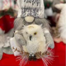 Owl Gnome