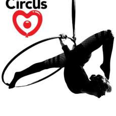 Lyra Aerial Hoop