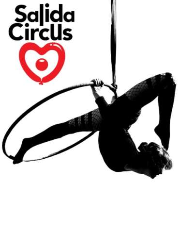Lyra Aerial Hoop