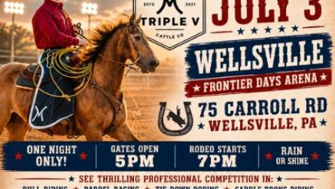 Wellsville Pro Rodeo