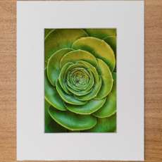 Creative Photography Sample