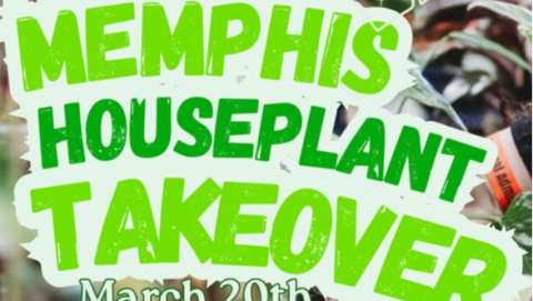 Botanical Soiree - Memphis Plant Show