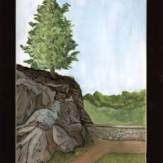 Rooted Above the River