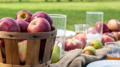 AppleFest 2026