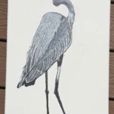 Brandy Wilker