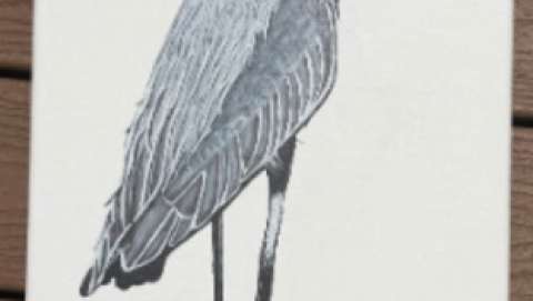 Brandy Wilker