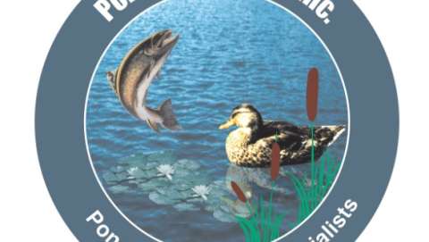 Pond Perfections