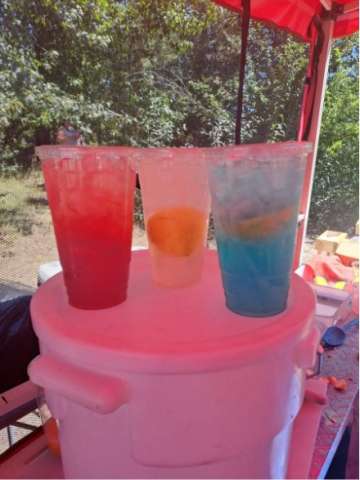 Lemon Shakers With Various Flavors Available