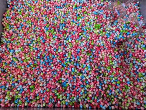 Tutti Fruity
