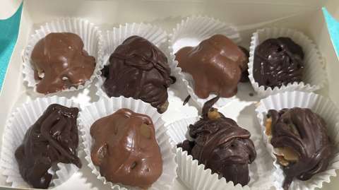 Turtle Bites Assortment