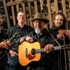 Grasstime Bluegrass