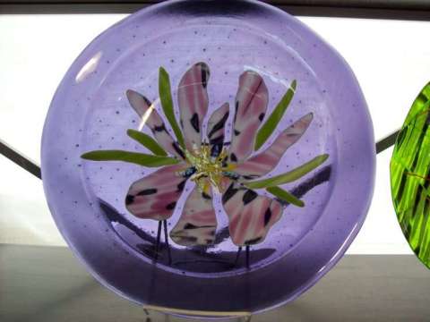 Iris Pasta Bowl