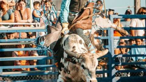 Van Wert County Fair
