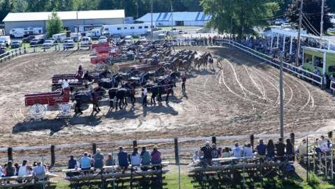 Genesee County Fair