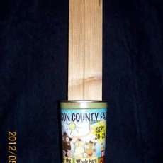 Example - Our Playable and Free Instrument: One String Pork-N-Bean Guitar.