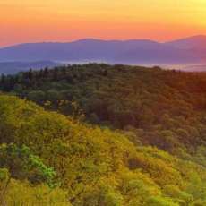 One of Several Backdrops We Use at Venues.