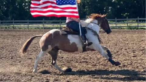 Oswego County Fair