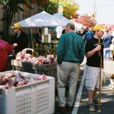selecting your favorite apples