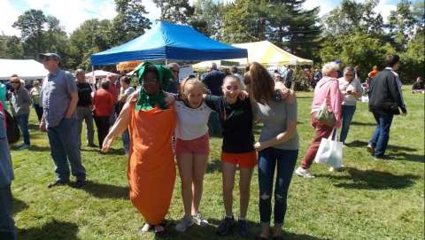 Carrot Festival