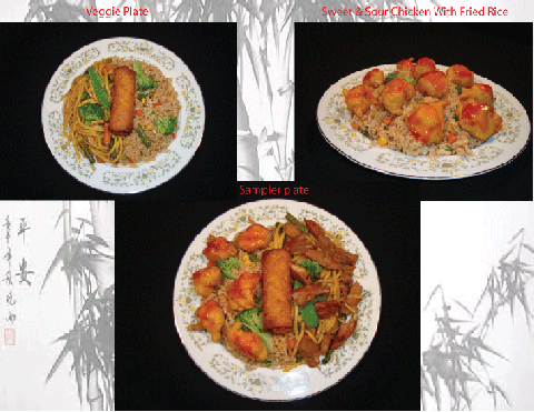 Chinese Food2
