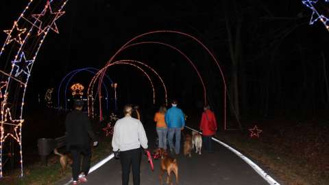 Gaithersburg Winter Lights Festival