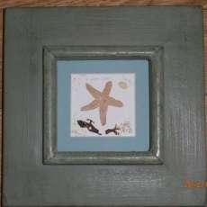 Sea Star