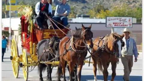 Chatsworth Holiday Parade & Festival