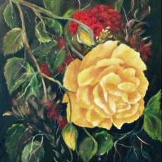 Yellow Rose