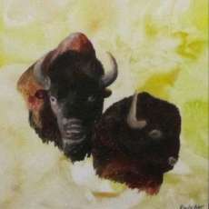 Buffalo