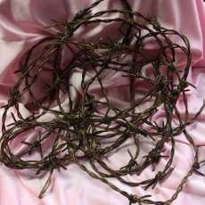 Leather Barbed Wire