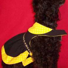 Yellow & Black Dress