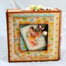 Embellished box and mini album