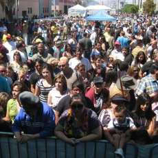 Crowd Loves Mambo Tropical