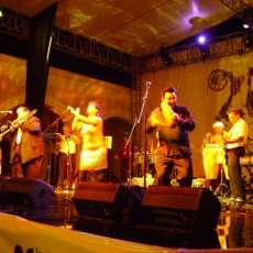 Mambo Tropical in Alamos, Sonora, Mexico