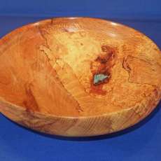 Crotch Oak w/Inlace Turquoise Inlay