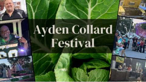 Ayden Collard Festival