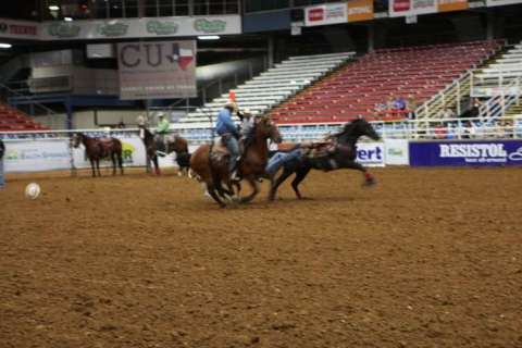 Mesquite Rodeo