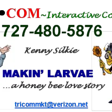 MAKIN LARVAE CONTACT