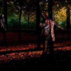 Our Friends in the Woods