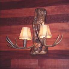 Antler sconce