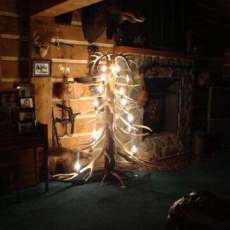 Elk antler tree