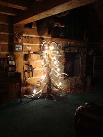 Elk antler tree