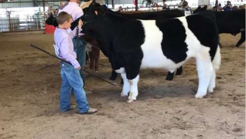 Grant County Free Fair
